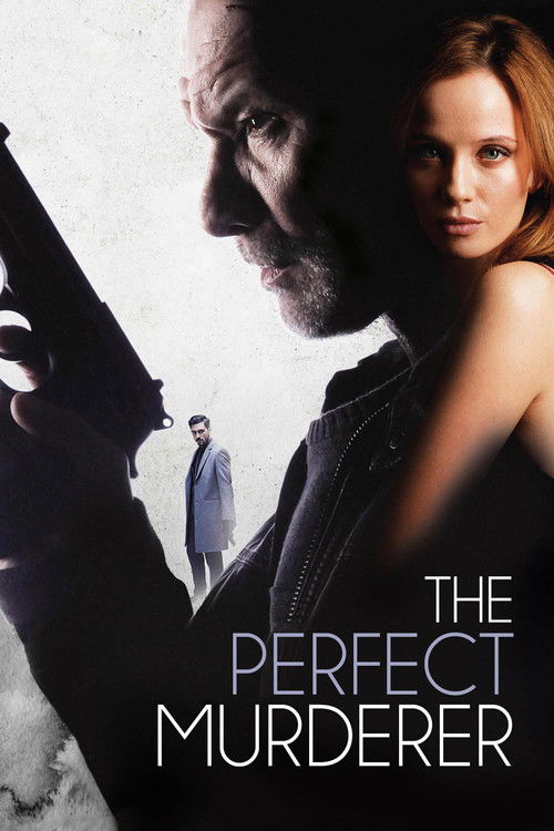 The Perfect Murderer (2017) poster