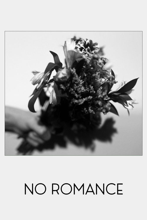 No Romance (2024) poster