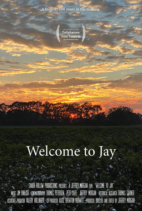 Welcome to Jay (2024) poster