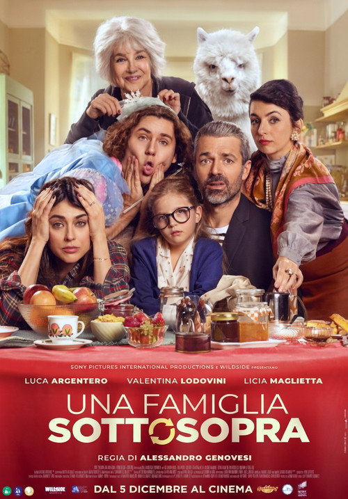 Allak Bullak Bir Aile (2025) poster