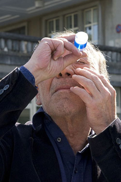 A Felicidade (2009) poster