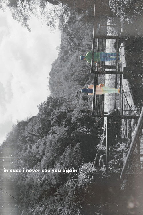 in case i never see you again (2025) poster