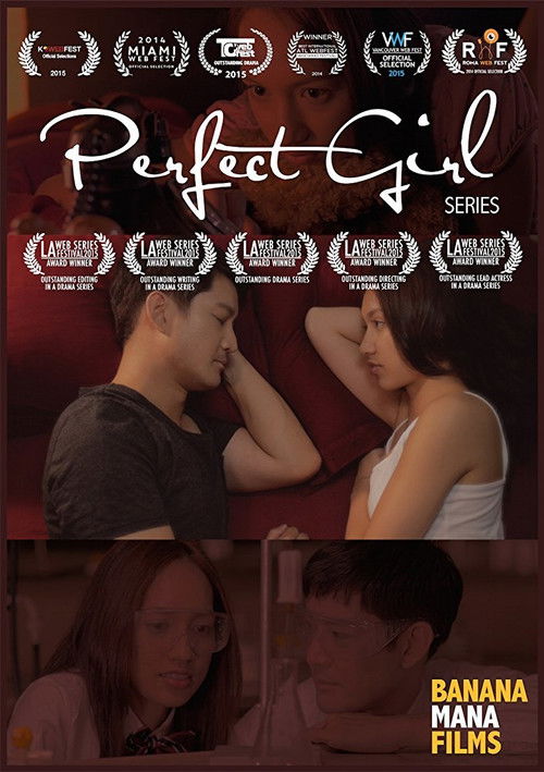 Perfect Girl (2014) poster