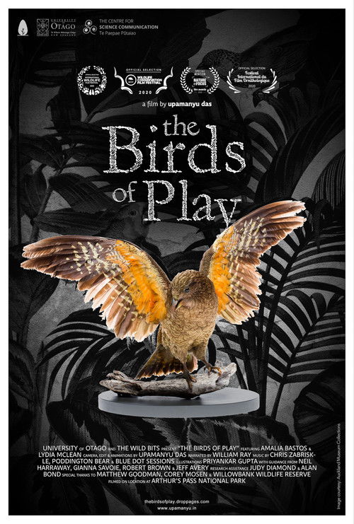 The Birds of Play (2019) poster