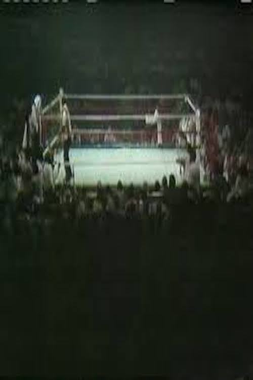 The Long Count III (Thrilla in Manila) (2001) poster