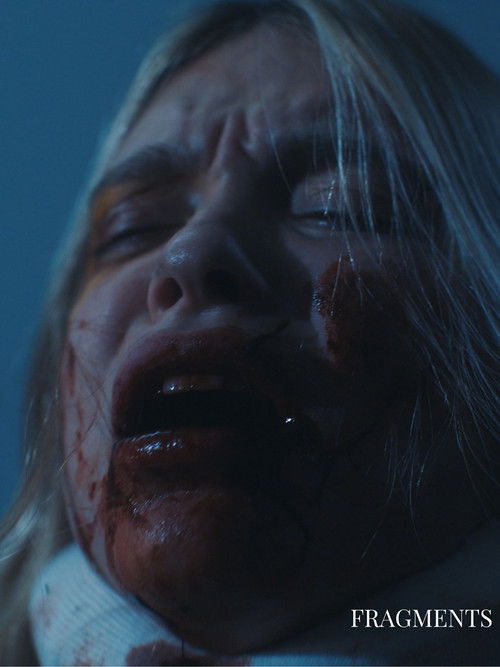 Fragments (2022) poster