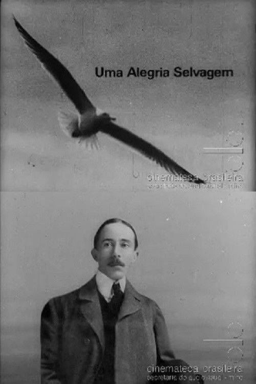 Uma Alegria Selvagem (1966) poster