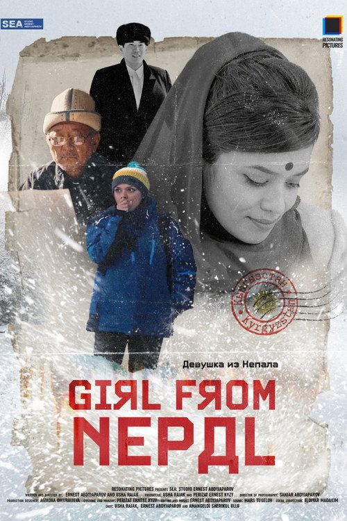 Непалдан келген кыз (2026) poster