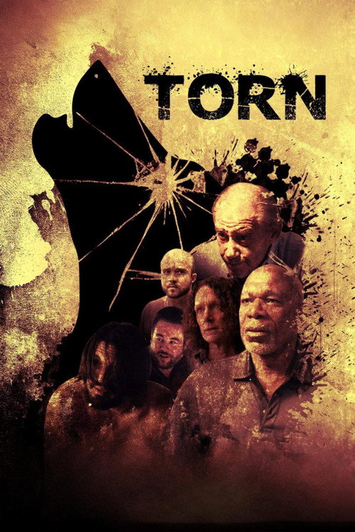 Torn (2023) poster