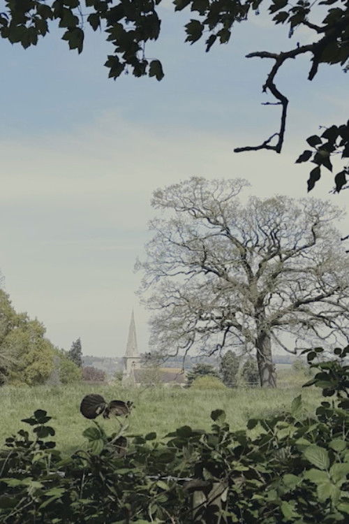 Passing Time (2023) poster