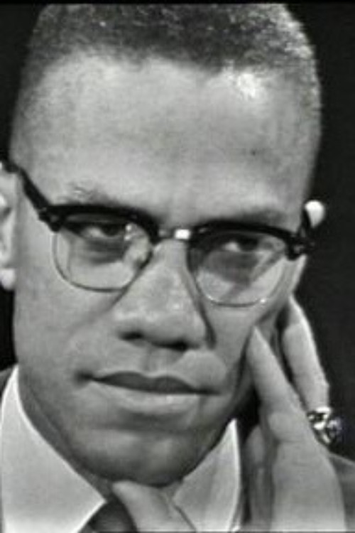 The Negro and the American Promise (1963) poster