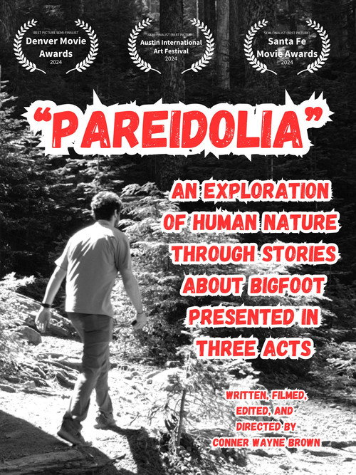 Pareidolia: An Exploration of Human Nature Through Stories About Bigfoot, Presented in Three Acts (2024) poster
