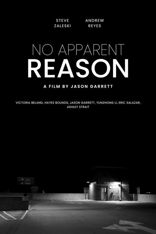 No Apparent Reason (2023) poster