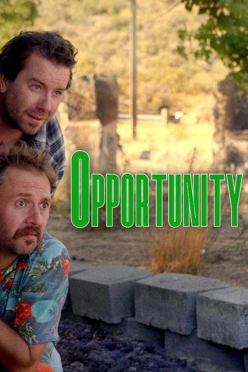 Opportunity (2026) poster