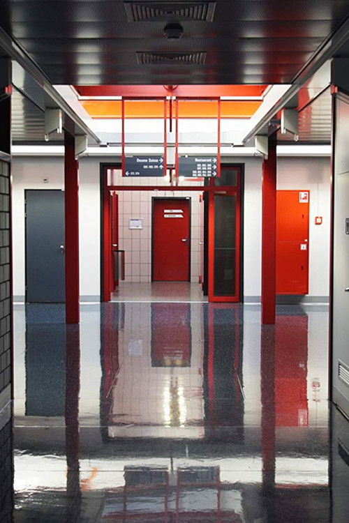 National Disintegrations (2017) poster