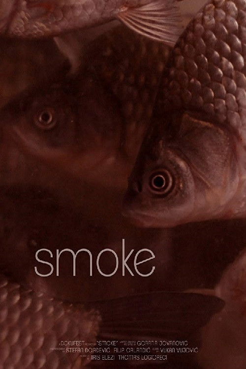Smoke (2015) poster