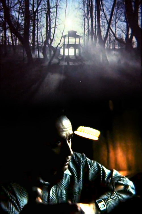 Hryhoriy Havrylenko. The Bright Figure (1988) poster