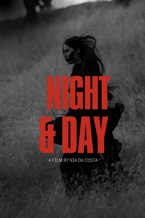 Night and Day (2013) poster