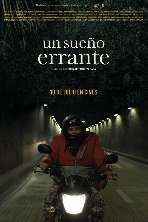 Un sueño errante (2025) poster