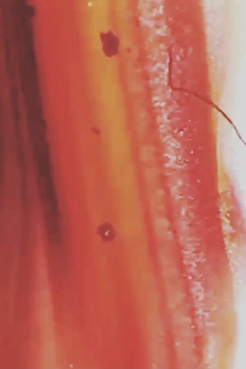 Death Of A Film (2021) poster