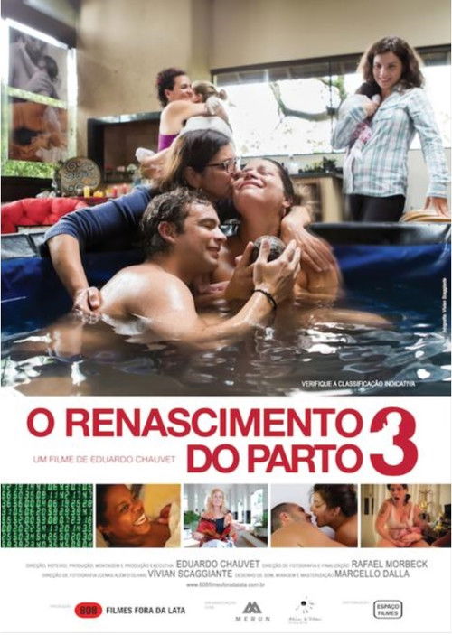 O Renascimento do Parto 3 (2018) poster