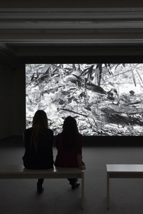 Crossing (2016) poster