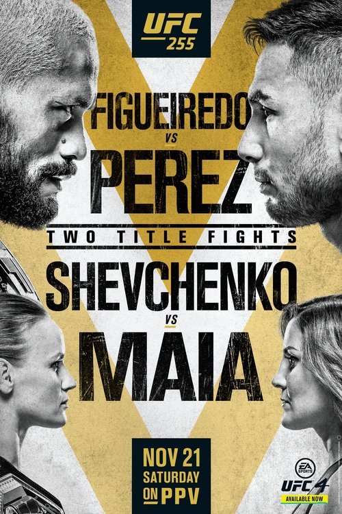 UFC 255: Figueiredo vs. Perez (2020) poster
