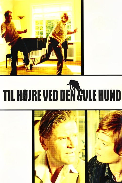 Til højre ved den gule hund (2003) poster