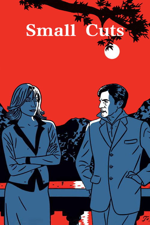 Petites coupures (2003) poster