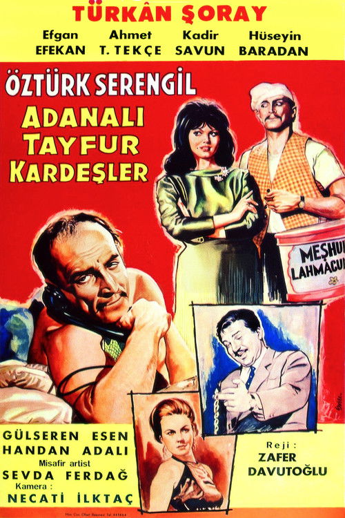 Adanalı Tayfur Kardeşler (1964) poster