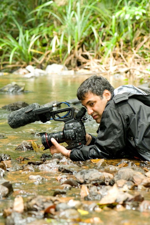 The Secret Life of Frogs (2019) poster