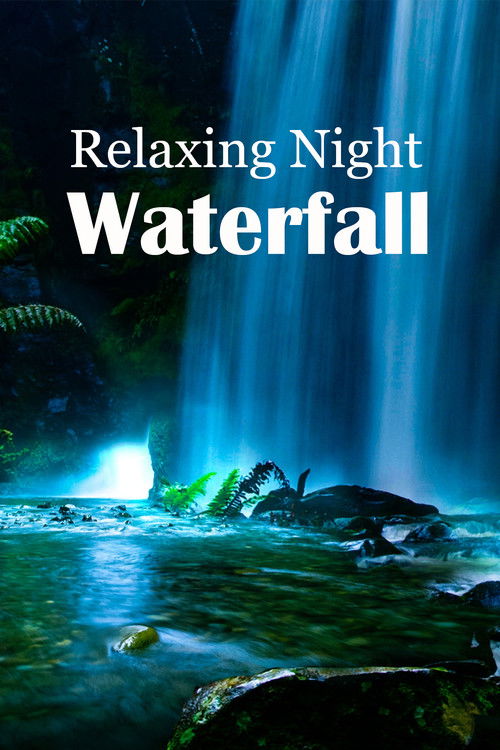 Relaxing Night Waterfall (2017) poster