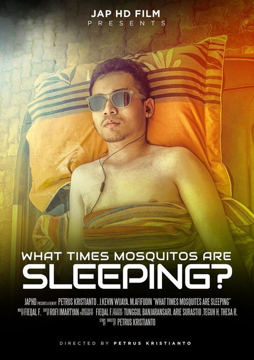 What Times Mosquitos Are Sleeping? (2018) poster