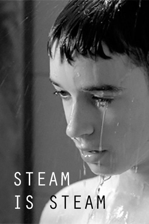 Steam is Steam (2011) poster