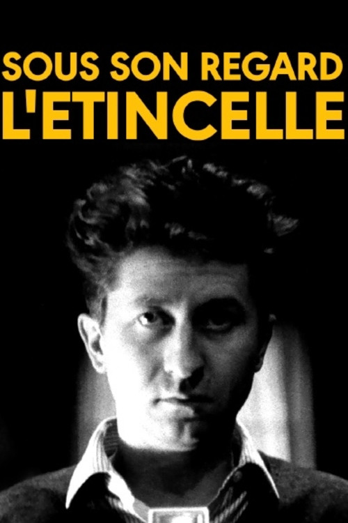 Philippe R. Doumic - Sous son regard l'étincelle (2019) poster