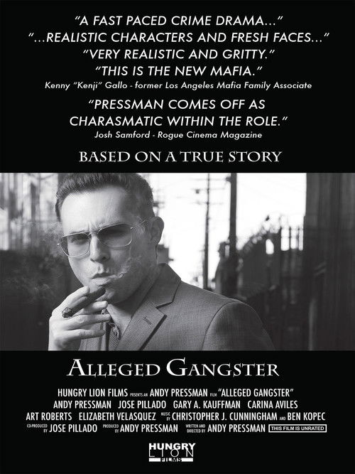 Alleged Gangster (2013) poster