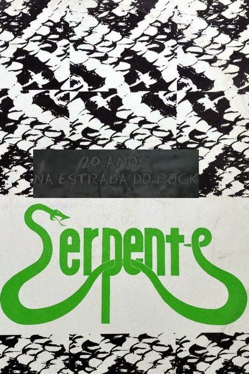 20 Anos na Estrada do Rock (2005) poster