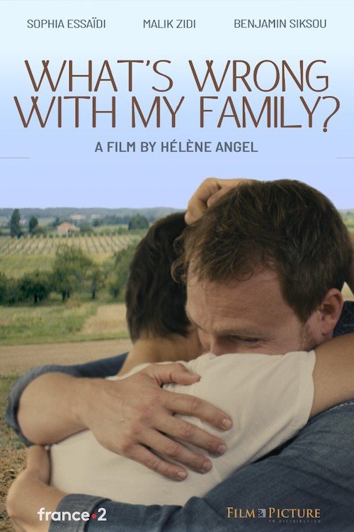 What's Wrong with My Family? (2022) poster