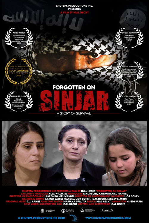 Forgotten on Sinjar (2020) poster
