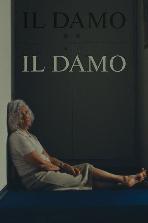 Il Damo (2025) poster