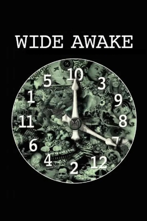 Wide Awake (2006) poster