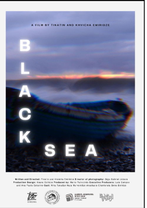 Black Sea (2021) poster