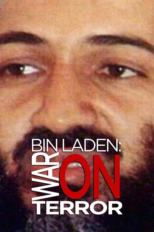 Bin Laden: War on Terror poster