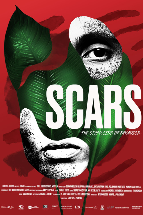 Scars (2020) poster