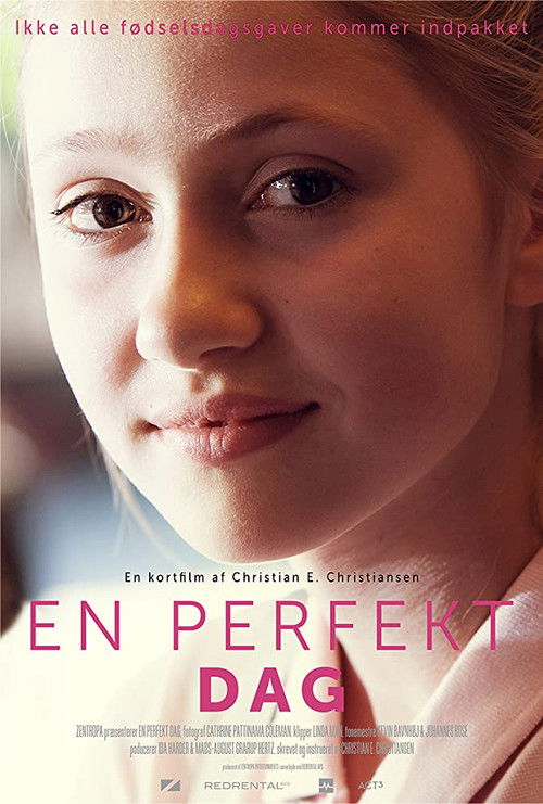 En perfekt dag (2017) poster