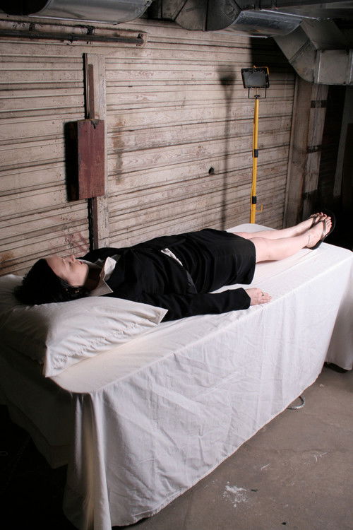 Amourena Meets The Mad Scientist (2024) poster