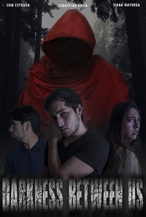 Darkness Between Us (2018) poster