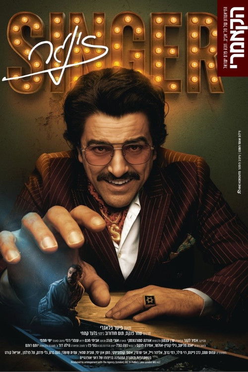 זינגר: קאמרי (2025) poster