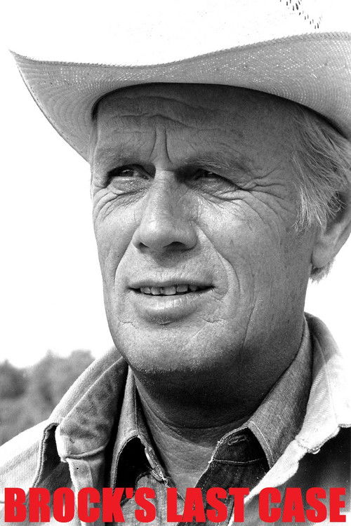 Brock's Last Case (1973) poster