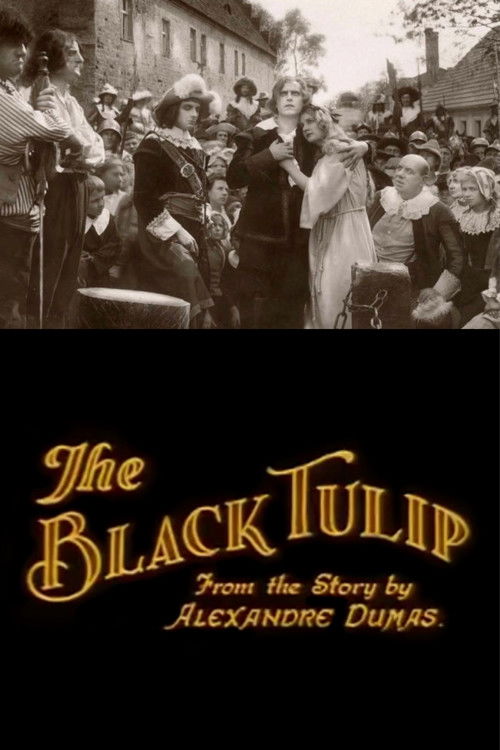 The Black Tulip (1921) poster